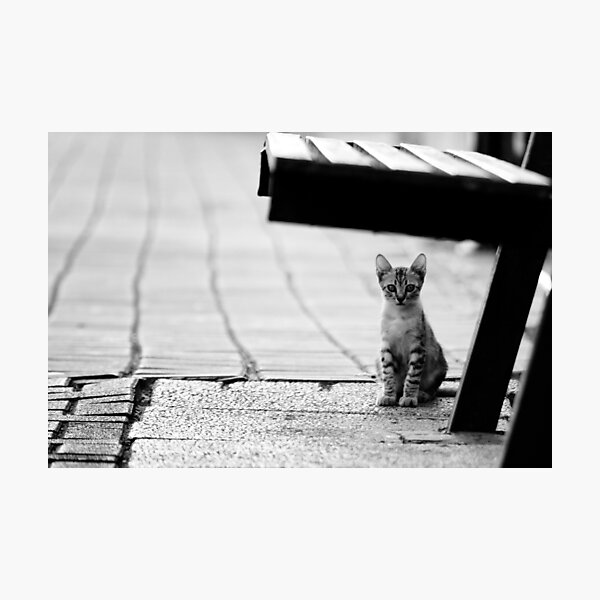 safe place Photographic Print