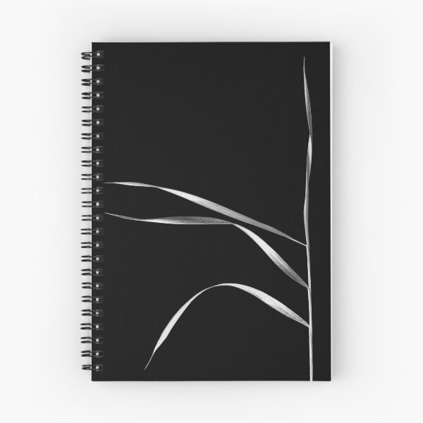 Aperçu de l'œuvre améliorations organiques 3 créée et vendue par Paul Davenport.