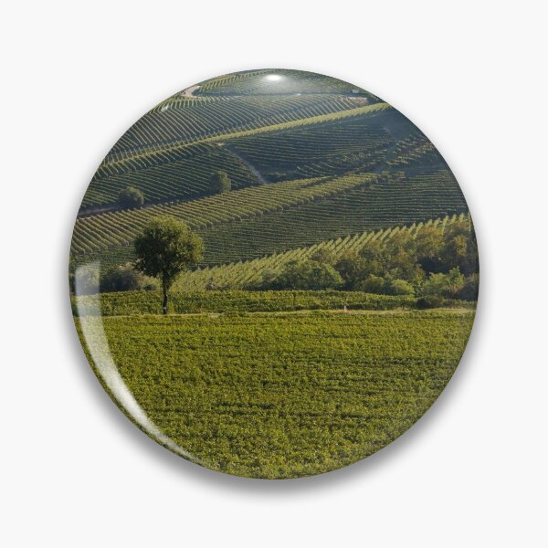 Item preview, Vineyard in Piemonte designed and sold by pietrofoto.