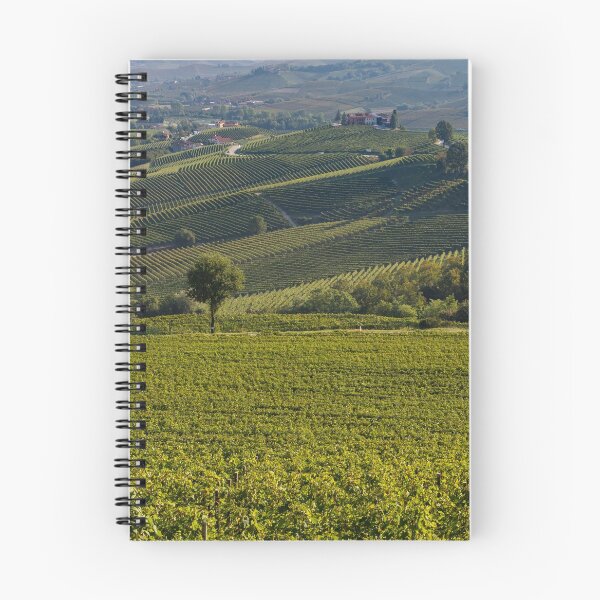 Item preview, Vineyard in Piemonte designed and sold by pietrofoto.