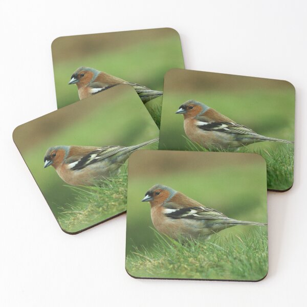 Item preview, The Chaffinch designed and sold by cjwarburton.