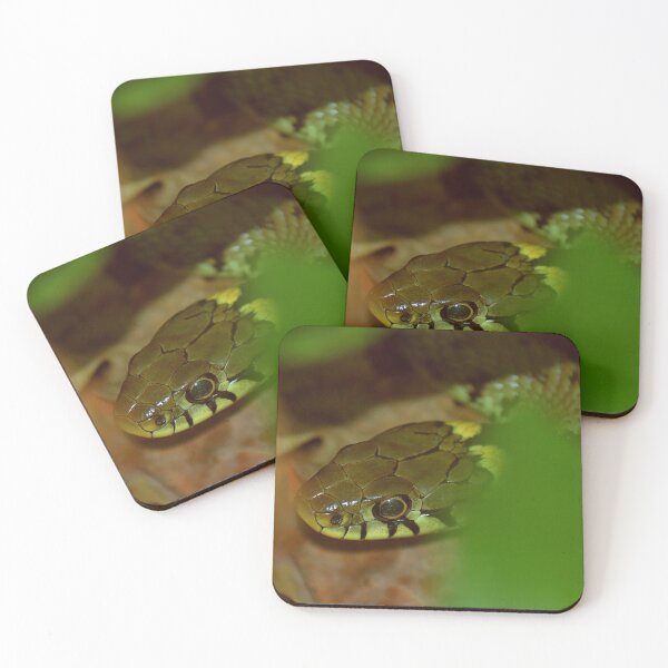 Item preview, A Sneaky Snake designed and sold by cjwarburton.