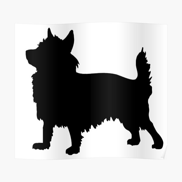 Australian Terrier Poster