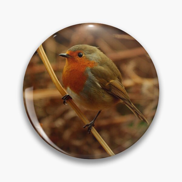 Item preview, Robin in the Bracken  designed and sold by cjwarburton.