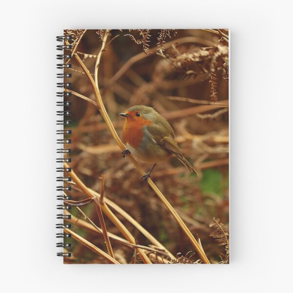 Item preview, Robin in the Bracken  designed and sold by cjwarburton.