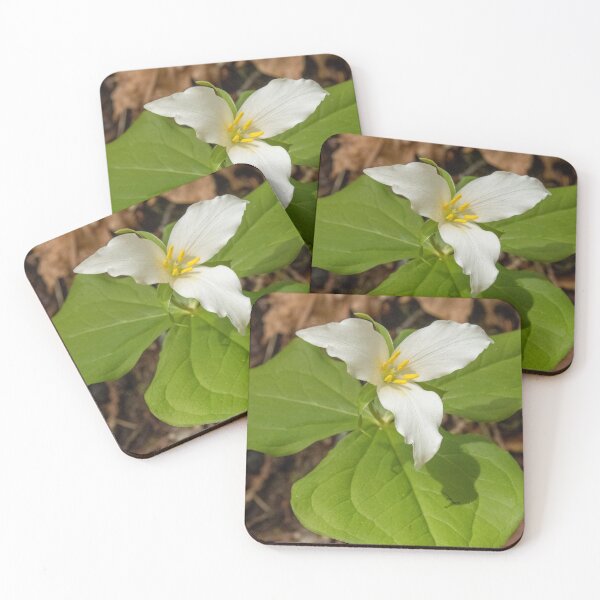 Item preview, Trillium Flower designed and sold by Photos-by-Kayla.