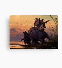 Albertaceratops Pair at Sunset Canvas Print