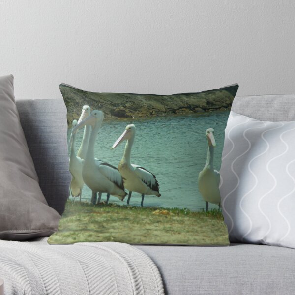 Aperçu de l'œuvre Pelicans waiting créée et vendue par ndarby1.
