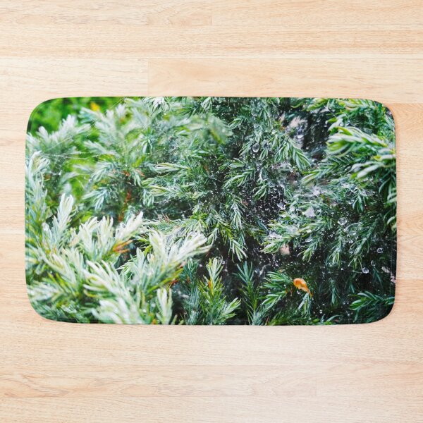 Item preview, A firtree covered with drops after the rain hanging down on the spider's web, natural background designed and sold by helenkaiy.