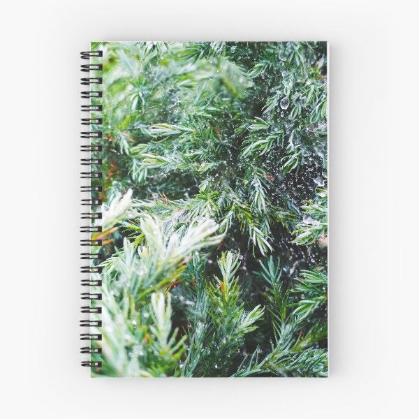 Item preview, A firtree covered with drops after the rain hanging down on the spider's web, natural background  designed and sold by helenkaiy.