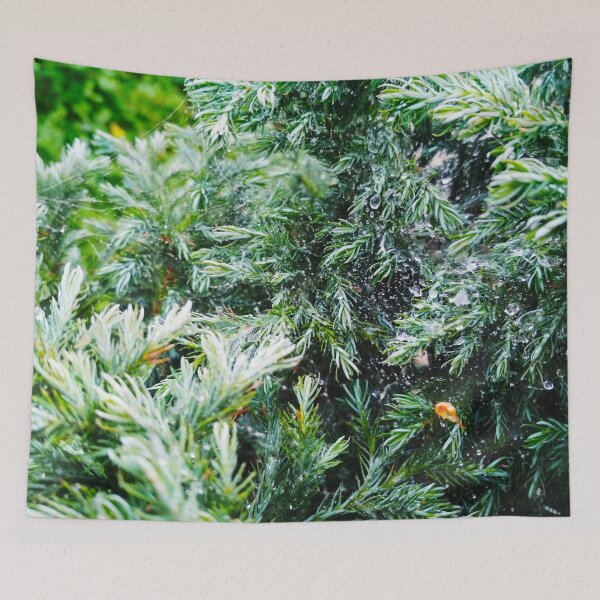 Item preview, A firtree covered with drops after the rain hanging down on the spider's web, natural background  designed and sold by helenkaiy.