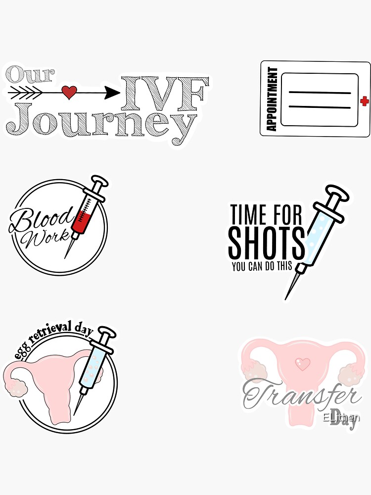 IVF Organizer + Shot Station