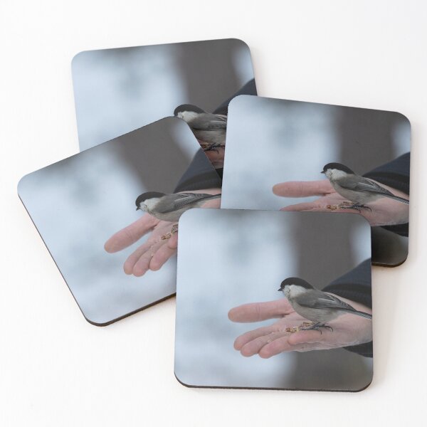Item preview, Marsh tit designed and sold by pietrofoto.