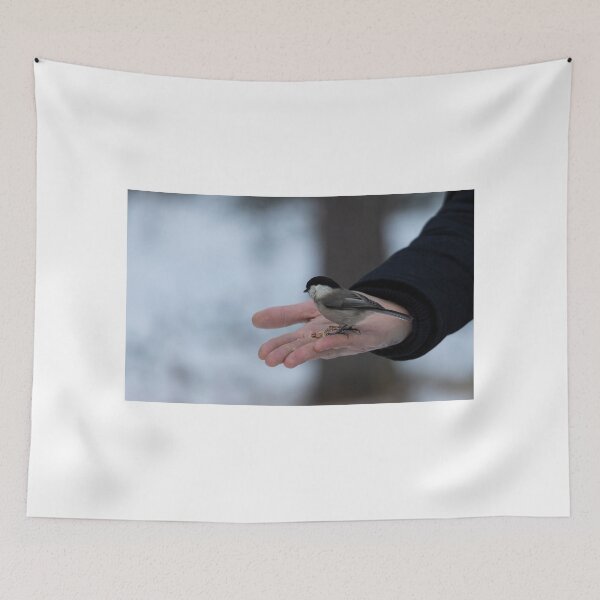 Item preview, Marsh tit designed and sold by pietrofoto.