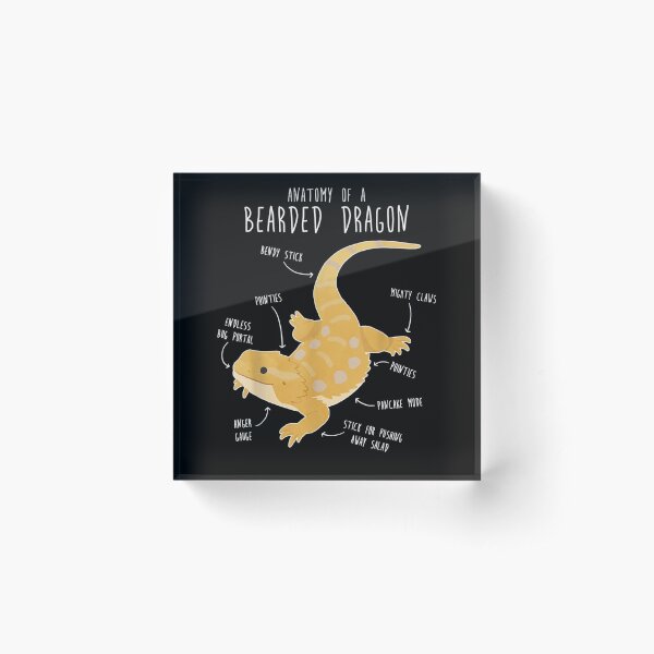Anatomy Of A Bearded Dragon Funny Pet Reptile Lizard Lover Acrylic Block