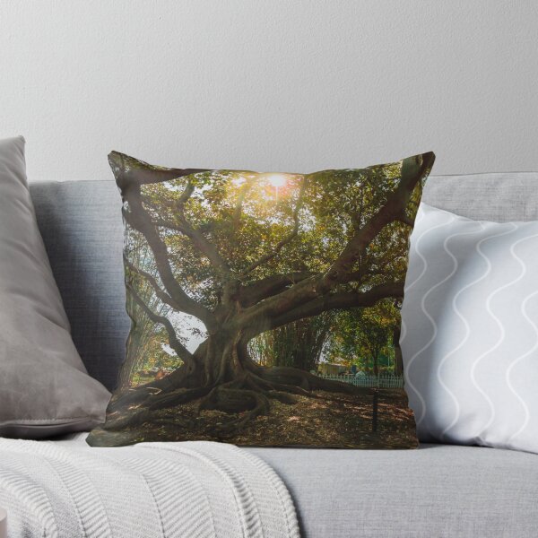 Item preview, Moreton Bay Giant designed and sold by Daniel Watts.