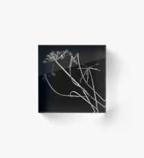 organic enhancements 5 Acrylic Block
