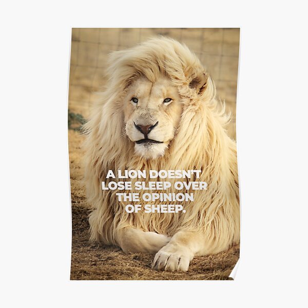 "A Lion Doesn't Lose Sleep Over The Opinion Of Sheep Alpha Lion Boss