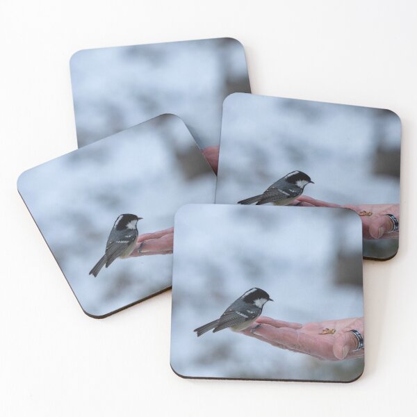 Item preview, Feeding a marsh tit designed and sold by pietrofoto.