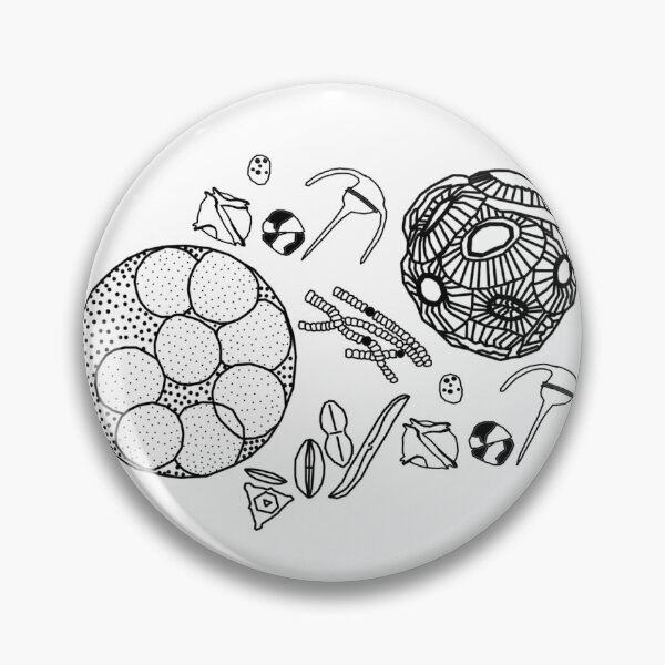 Item preview, Microalgae Phytoplankton Diatoms  designed and sold by RUNunculus.