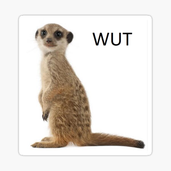 Item preview, meerkat designed and sold by kitbuketrug.
