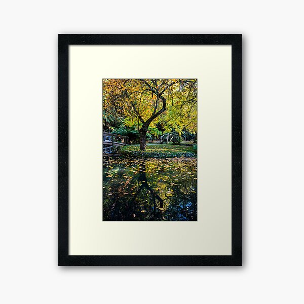 Item preview, Autumn at Sir Alfred Nicholas Gardens, Dandenong Ranges, Victoria, Australia designed and sold by Vicki Walsh.
