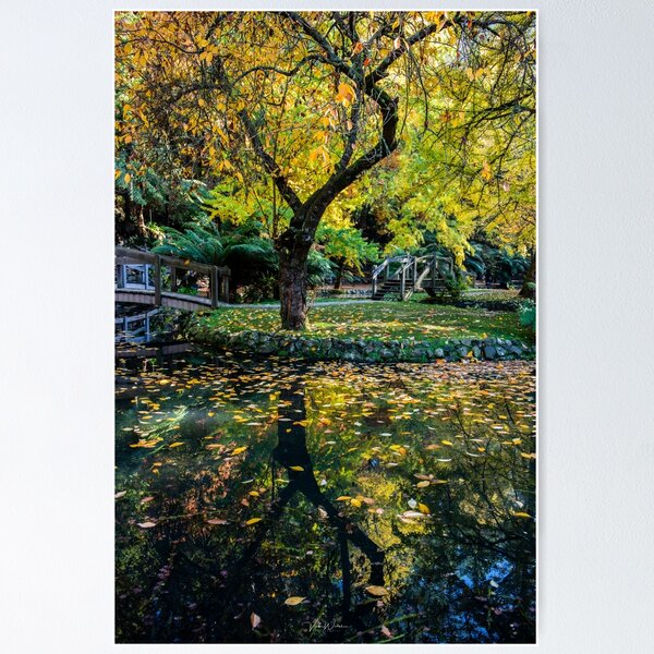 Item preview, Autumn at Sir Alfred Nicholas Gardens, Dandenong Ranges, Victoria, Australia designed and sold by Vicki Walsh.
