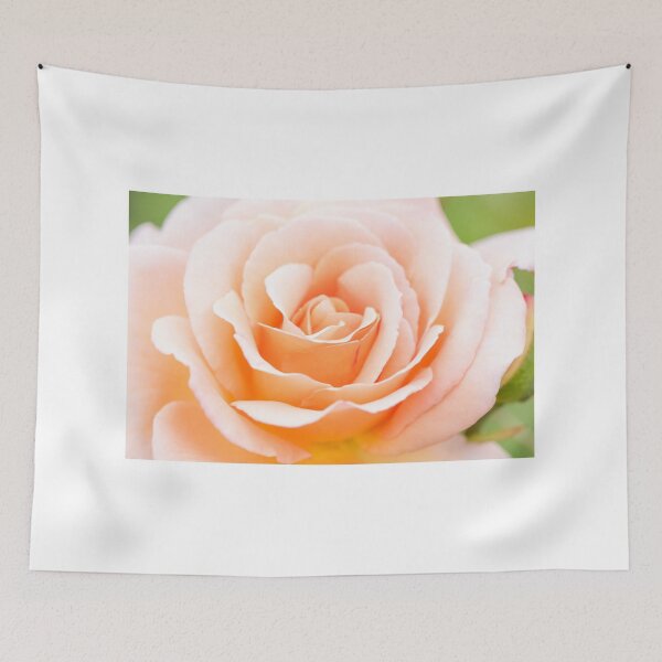 Item preview, The not apricot, Apricot designed and sold by PhotosbyPeter.