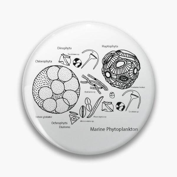 Item preview, Marine Microalgae Phytoplankton Species with Names designed and sold by RUNunculus.