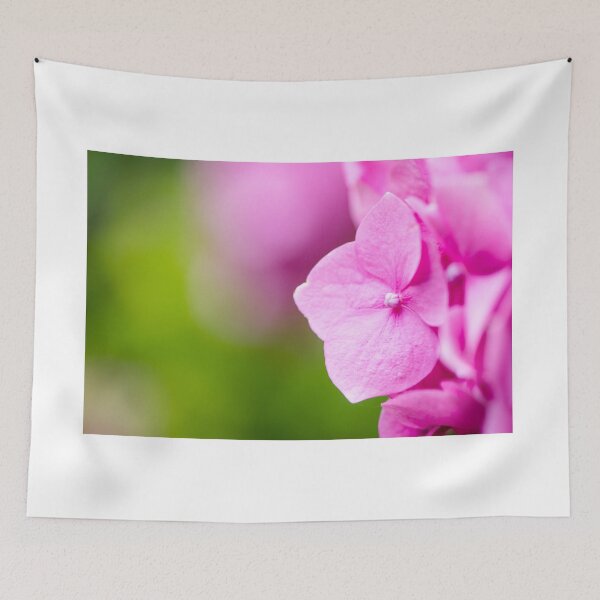 Item preview, Hydrangea designed and sold by PhotosbyPeter.