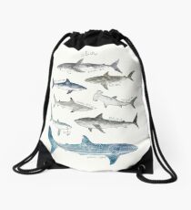 Sharks - Landscape Format Drawstring Bag