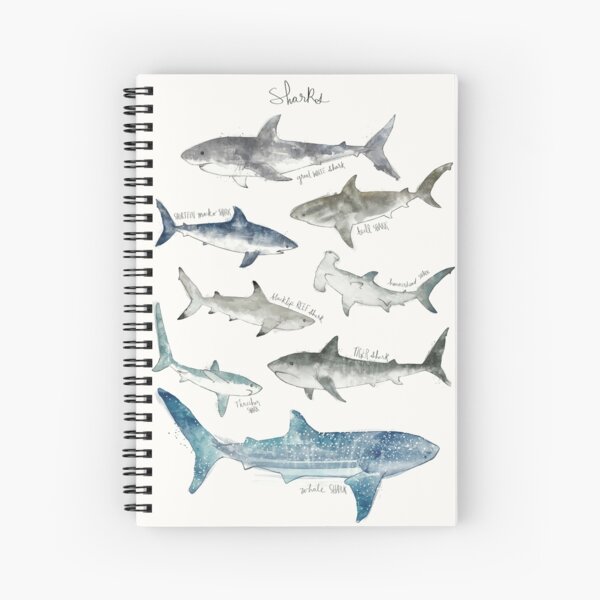 Sharks - Landscape Format Spiral Notebook