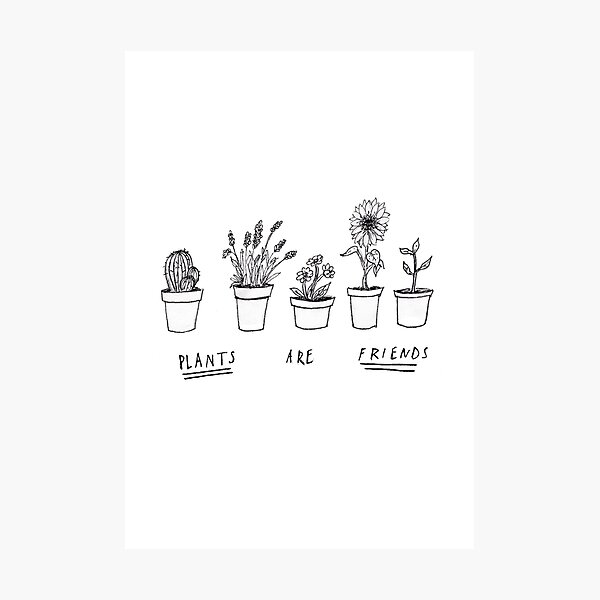 Plants Are Friends Photographic Print