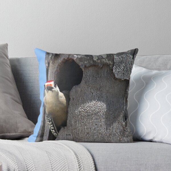 Item preview, Woodpecker Observing. designed and sold by vette.