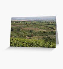 Am Wagram, Niederösterreich Greeting Card