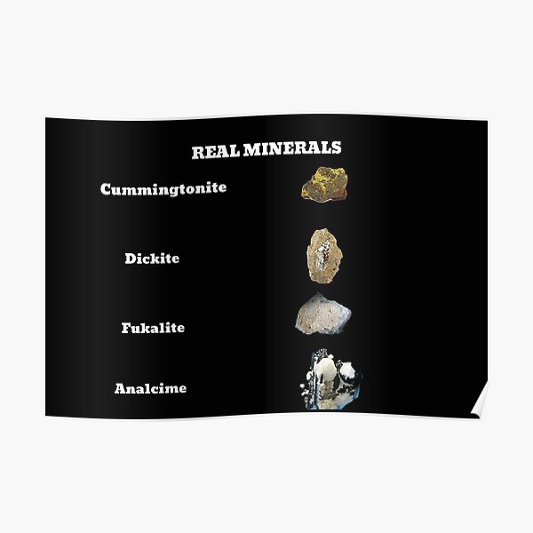 Real minerals funny geology Poster