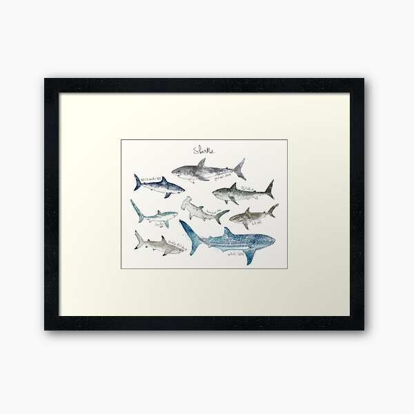 Sharks - Landscape Format Framed Art Print