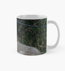 Taza Cabrito Kid en una granja