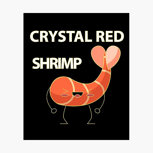 Item preview, Crystal Red Shrimp designed and sold by hicham4you.