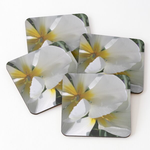 Item preview, Springtime White designed and sold by CheriesArt.