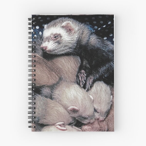Aperçu de l'œuvre r/2795/ New Finition 2021 -2- " Maman Furet et ses petits 1995 " 1 flash bal Okaio - (t) Olavia-Olao Okaio Créations créée et vendue par o.okaïo.