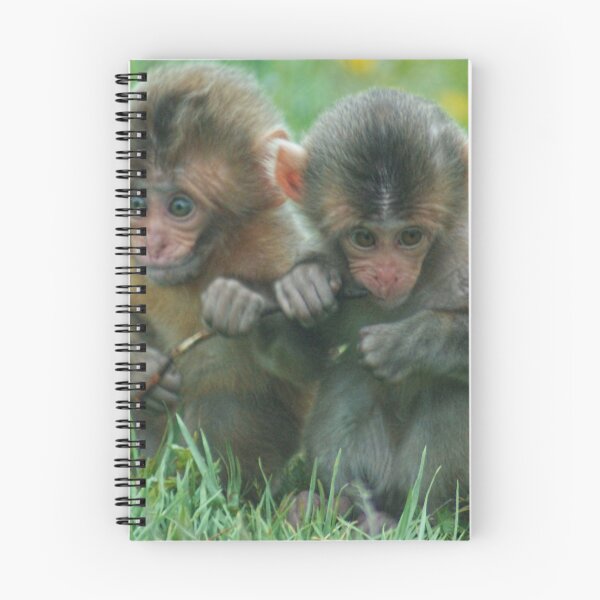 Item preview, Baby Snow Monkeys designed and sold by davidelder.