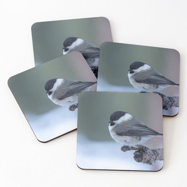 Item preview, Marsh tit designed and sold by pietrofoto.