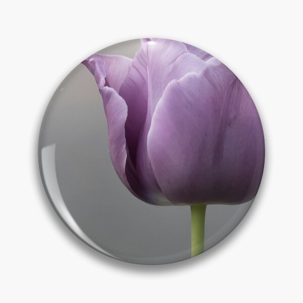 Item preview, Tulip in Lavender designed and sold by Roger Easley.
