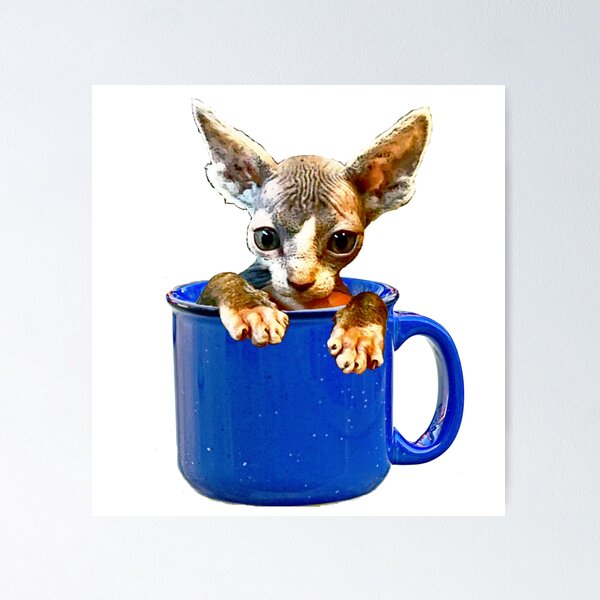Item preview, Cute kitty designed and sold by Saltypro.