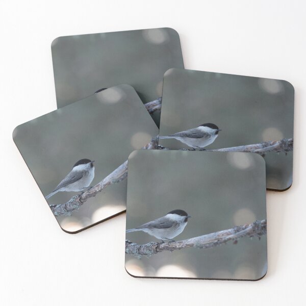 Item preview, Marsh tit designed and sold by pietrofoto.