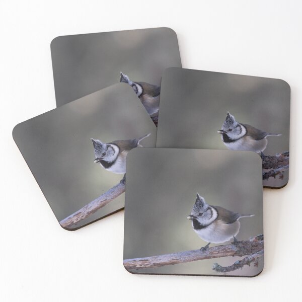Item preview, Great crested tit designed and sold by pietrofoto.