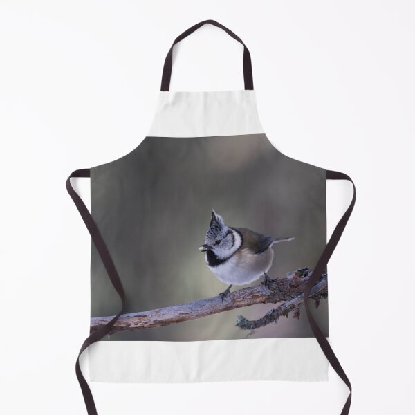 Item preview, Great crested tit designed and sold by pietrofoto.