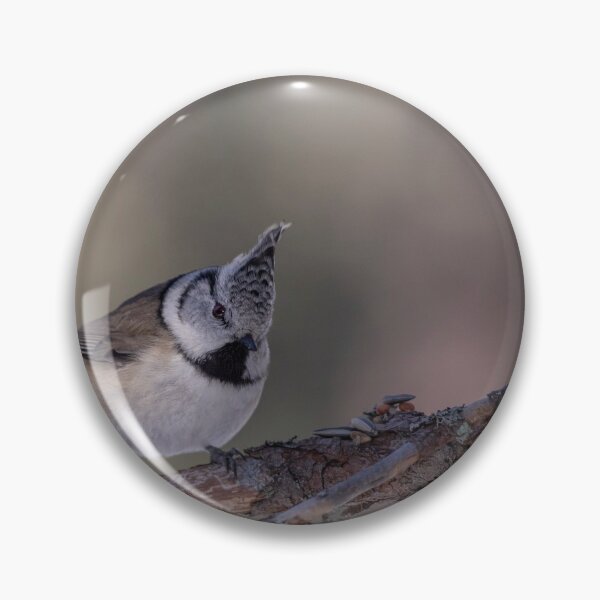 Item preview, Great crested tit designed and sold by pietrofoto.