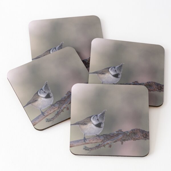 Item preview, Great crested tit designed and sold by pietrofoto.